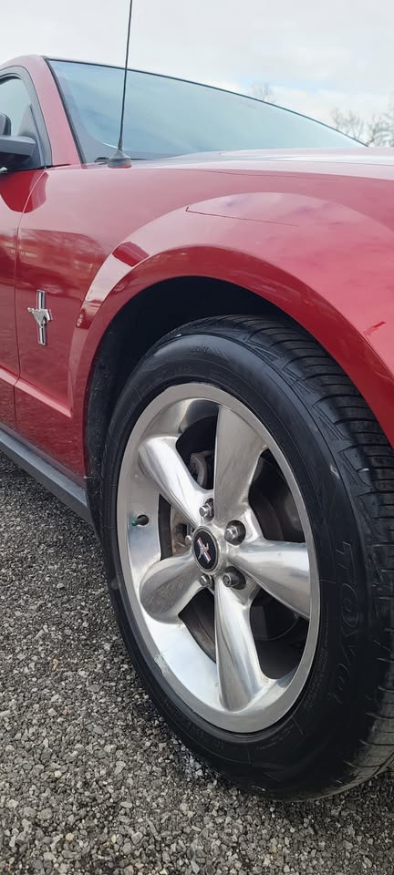 2008 Ford Mustang thumbnail 10