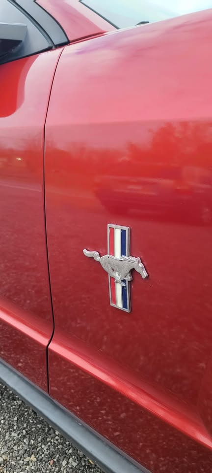 2008 Ford Mustang thumbnail 11